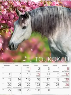 Burde Seinakalenteri 2024 Hevoset