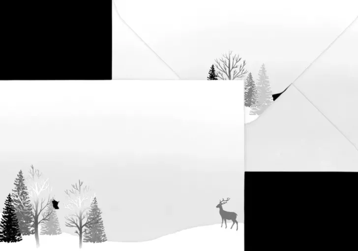 C6/10 Kirjekuori Maisema Hopeafolio