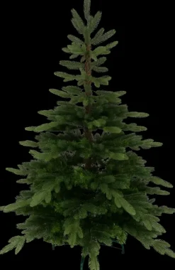 House Joulukuusi Rostan 150 Cm Vihrea