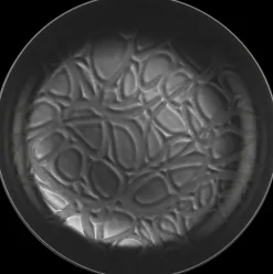 House Syva Lautanen Capri 20 Cm