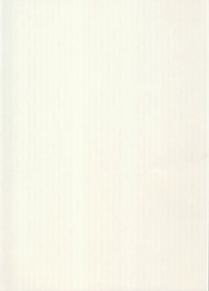 Karto Kartonki Luonnonvalkoinen 50X70Cm 220Gsm 5Ark/Pss