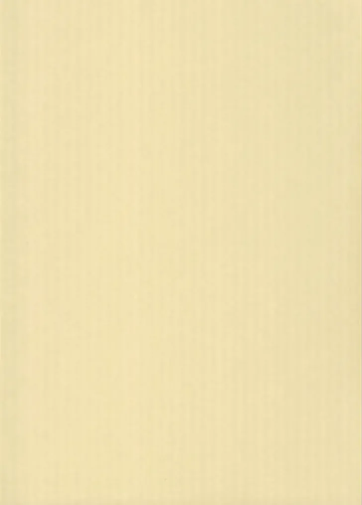 Karto Kartonki Oljenkeltainen 50X70Cm 220Gsm 5Ark/Pss