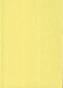 Karto Kartonki Vaaleankeltainen A4 220Gsm 5Ark/Pss