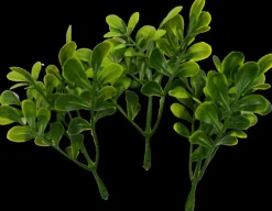 Koristevarpu, 3Kpl/Pss