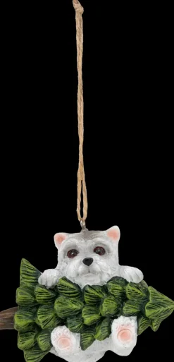 Roikkuva Koristekoira, Erilaisia