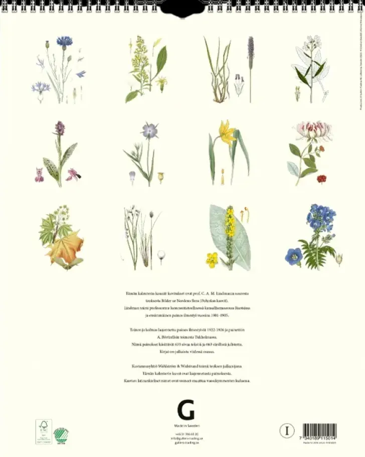 Seinakalenteri Kasvit Lindman 2024