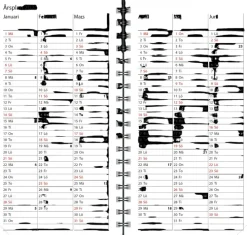 Taskukalenteri Agenda, Svensksprakig, Silver